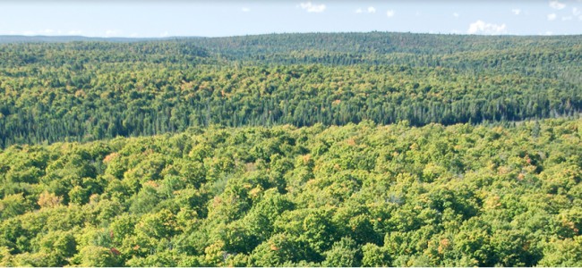 post